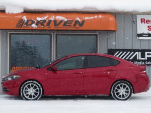 DSS Dart Tint