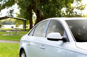 3M FX Premium Window Film