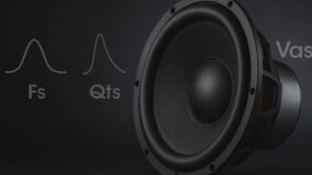 A car audio speaker